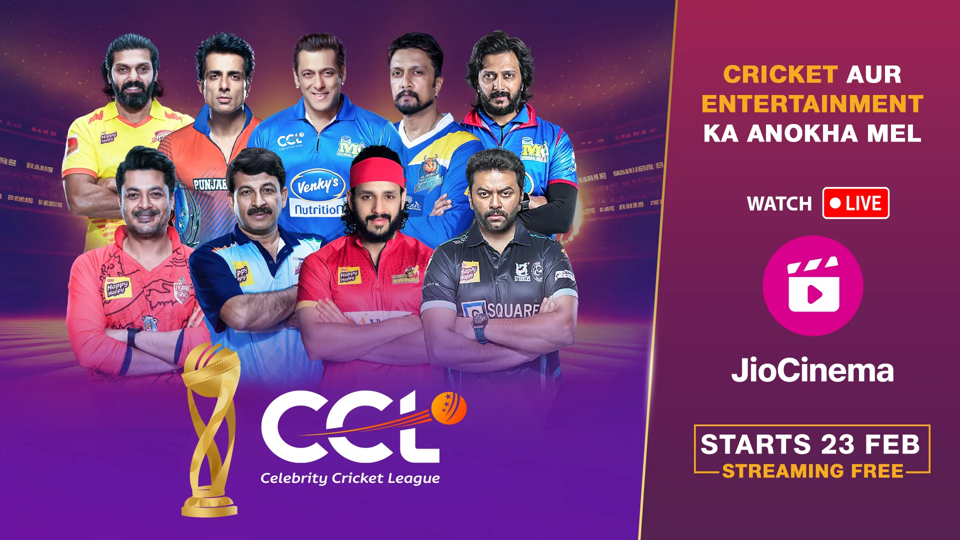 celebrity cricket league