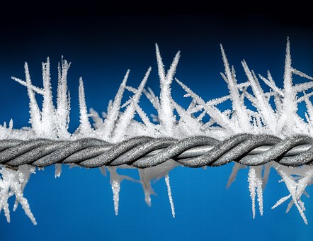 Barbed Wire Manufacturing Business – How to Start, Cost, Profit